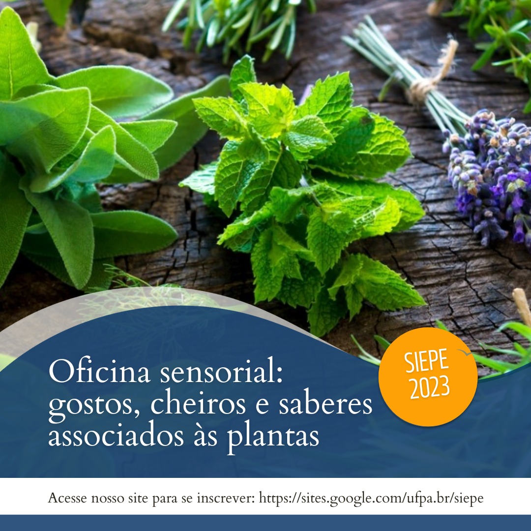 Oficina Sensorial: Gostos, Cheiros e Saberes Associados às Plantas